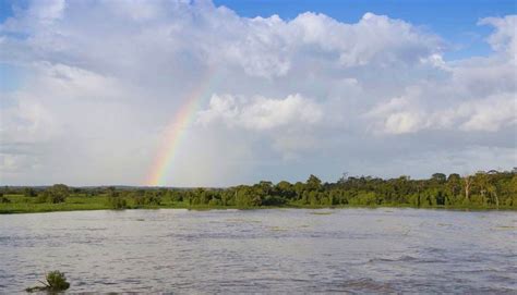 amazon nude|Naturism in the Amazon: Our Meetup with GRAUNA .